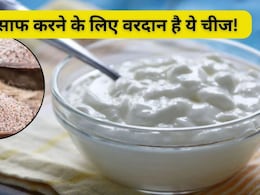 दही में ये एक चीज मिलाकर खाने से सारी पेट की गंदगी निकल आएगी बाहर, पेट का हर कोना हो जाएगी साफ