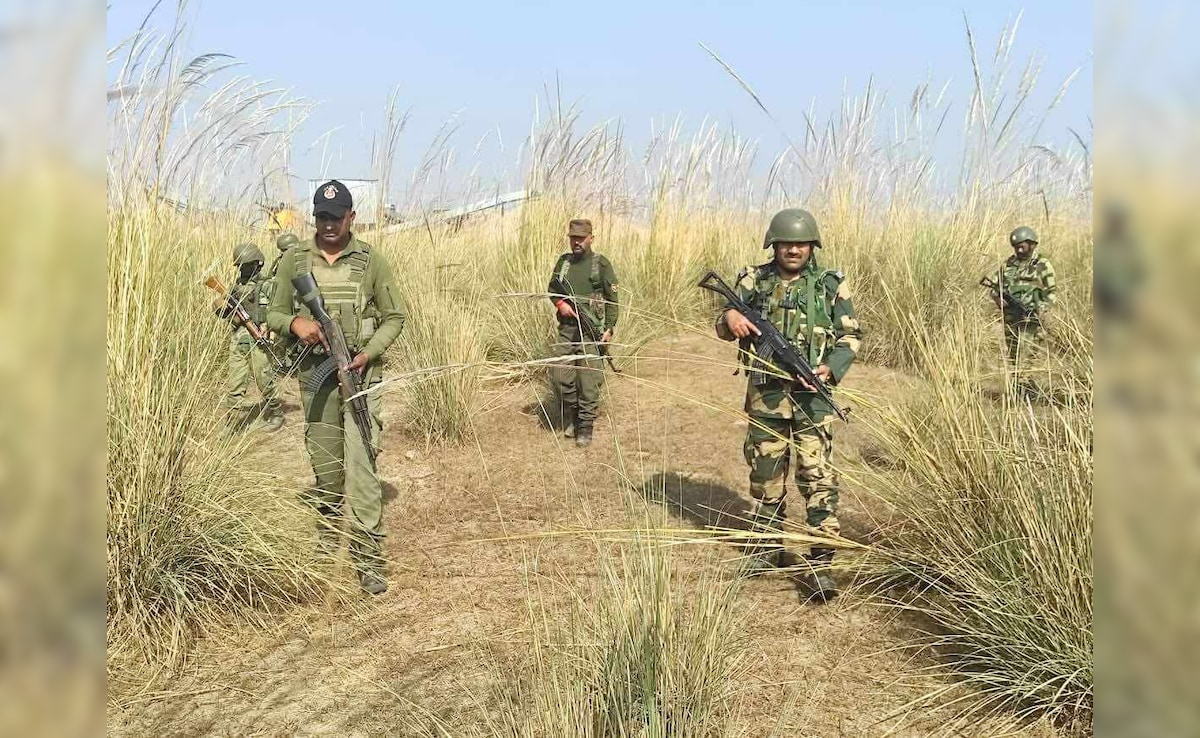 Latest and Breaking News on NDTV