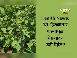 Chakvat Benefits: चाकवत खाल्ल्यास कोणते आजार बरे होतील, पोट पटकन स्वच्छ होईल का; रोज खाऊ शकतो?