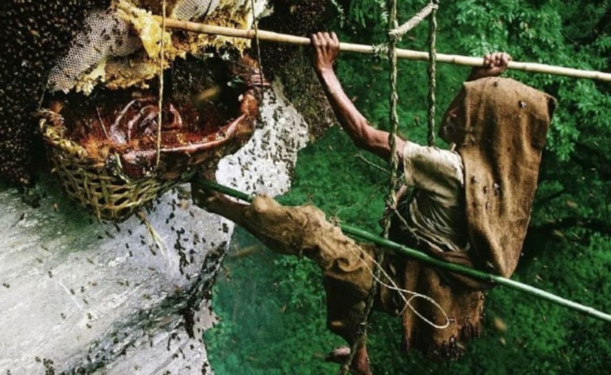 The Nepali honey can cause respiratory difficulty, dizziness, blurred vision, and lightheadedness. Photo: Brothers Drake Meadery/ Instagram