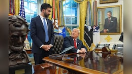 Opinion | Why Trump And Mamdani May Not Be That Different, After All