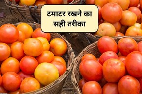 टमाटर को ठंड से कैसे बचाएं? सर्दियों में टमाटर रखने सबसे सेफ तरीका, अधिक समय तक रहेंगे सुरक्षित