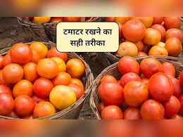 टमाटर को ठंड से कैसे बचाएं? सर्दियों में टमाटर रखने सबसे सेफ तरीका, अधिक समय तक रहेंगे सुरक्षित