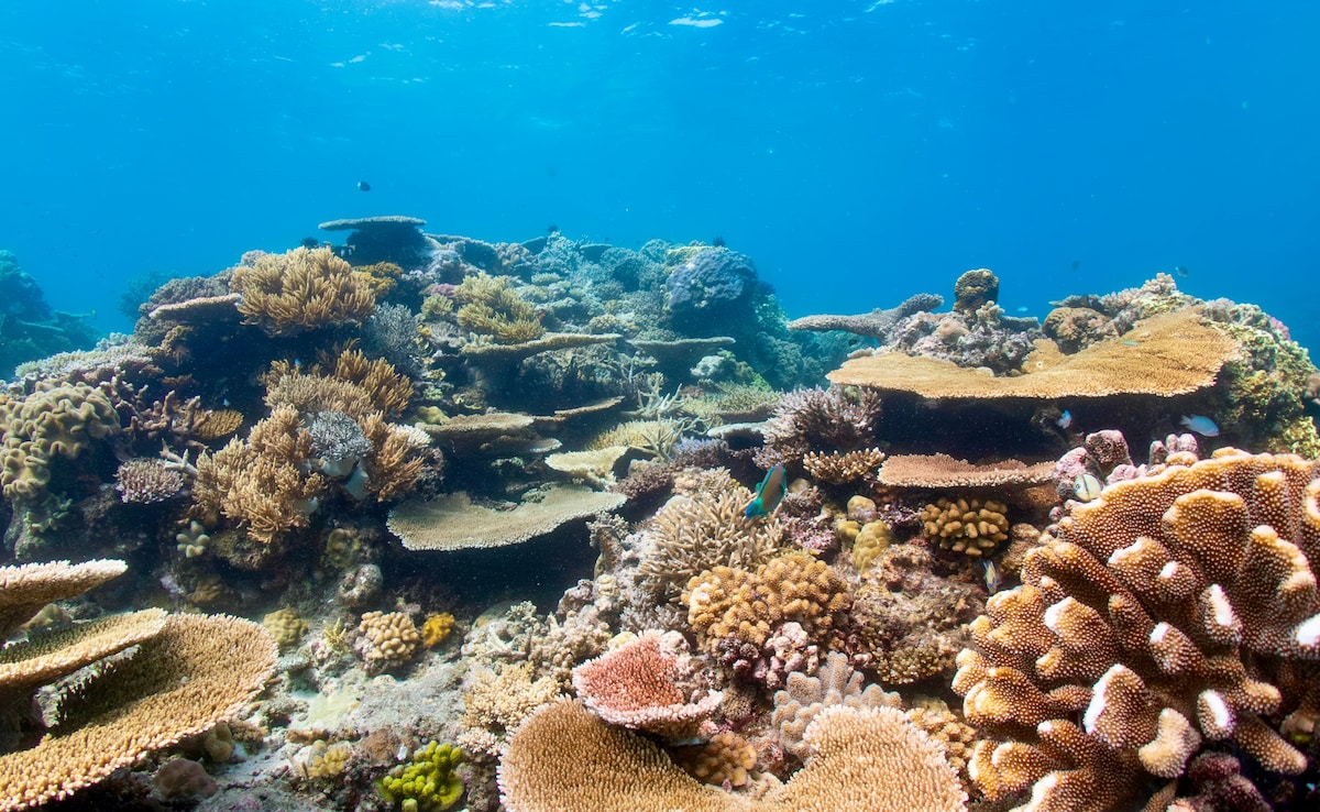 Latest and Breaking News on NDTV Latest and Breaking News on NDTV