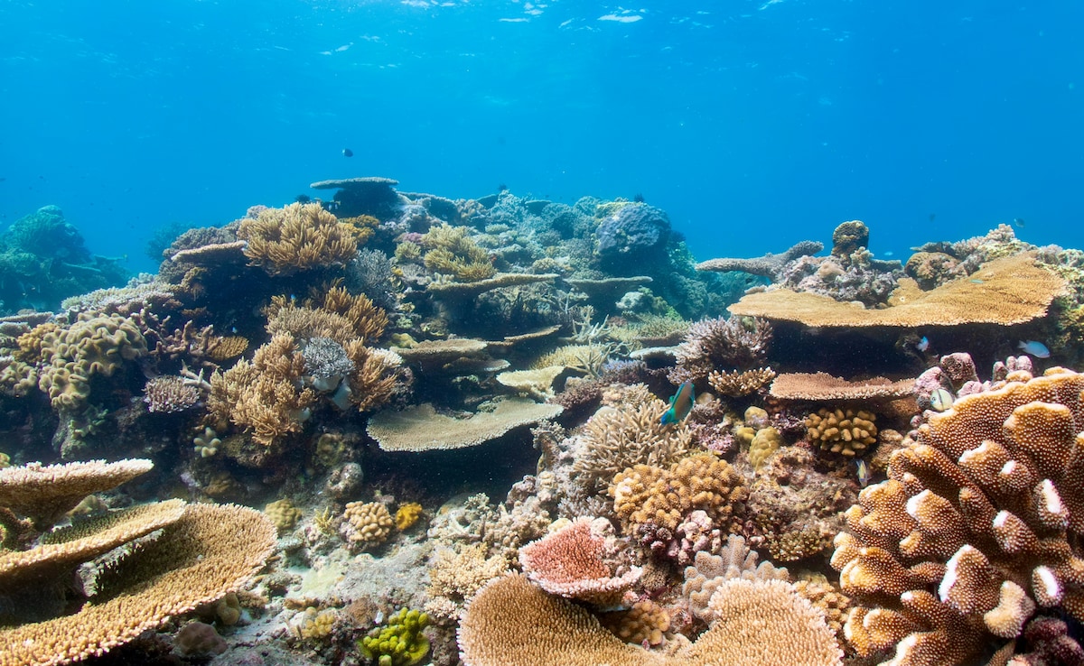 Latest and Breaking News on NDTV Latest and Breaking News on NDTV