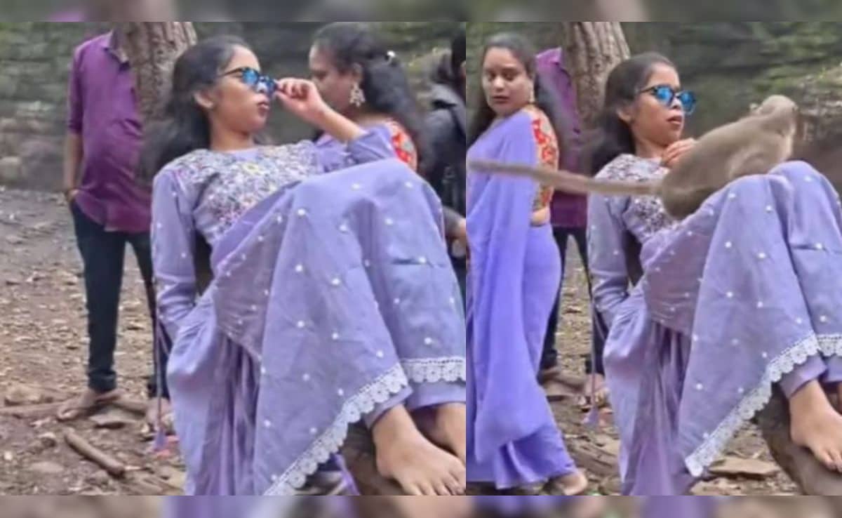 मजे से पेड़ पर लेटकर Reel बना रही थी, तभी अचानक ऊपर से कूद पड़ा बंदर, दहाड़े मारकर लड़की ने लगा दी छलांग
