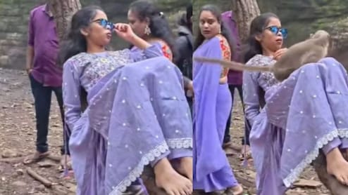मजे से पेड़ पर लेटकर Reel बना रही थी, तभी अचानक ऊपर से कूद पड़ा बंदर, दहाड़े मारकर लड़की ने लगा दी छलांग