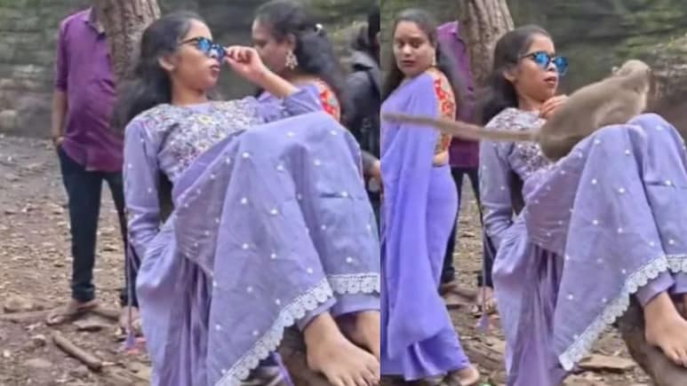 मजे से पेड़ पर लेटकर Reel बना रही थी, तभी अचानक ऊपर से कूद पड़ा बंदर, दहाड़े मारकर लड़की ने लगा दी छलांग