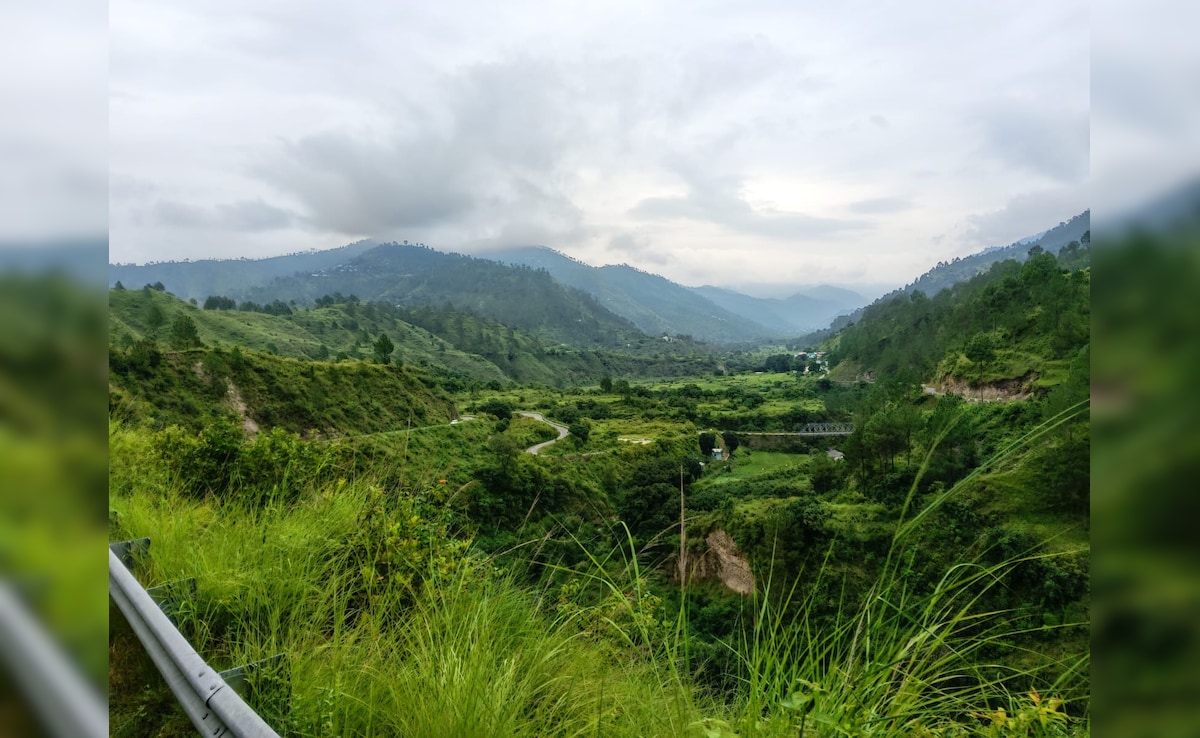 उत्तराखंड में खेती पर गहरा संकट : तिल, चौलाई और कीवी बन सकते हैं सहारा