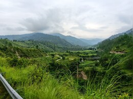 उत्तराखंड में खेती पर गहरा संकट : तिल, चौलाई और कीवी बन सकते हैं सहारा