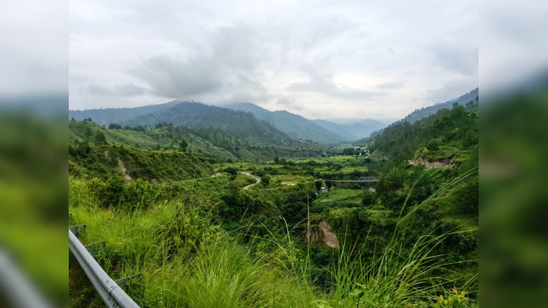 उत्तराखंड में खेती पर गहरा संकट : तिल, चौलाई और कीवी बन सकते हैं सहारा