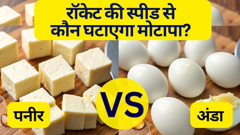 Egg Vs Paneer: अंडा या पनीर, किसमें ज्यादा प्रोटीन होता है? नाश्ते का 'सुपरस्टार' कौन, किसे चुनते ही कम होगा वज़न!