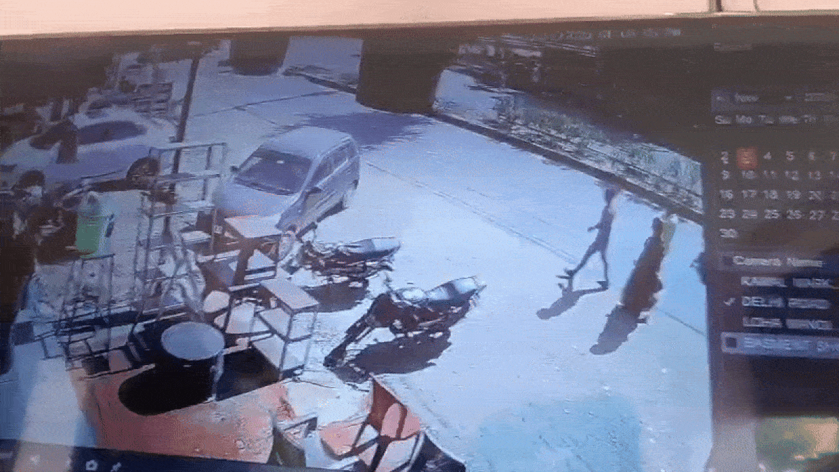 Latest and Breaking News on NDTV