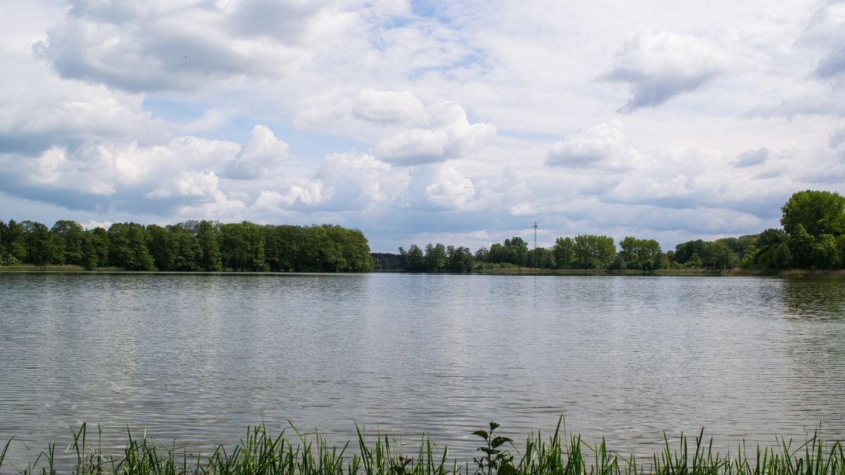 Herbalife's 'Aqua Eco Program' Revives Local Water Bodies, Empowers Rural Communities