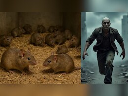 1968 की रिसर्च Universe 25: जब जन्नत जैसी जगह बनी मौत का कुआं, दुनिया के लिए बजी खतरे की घंटी!