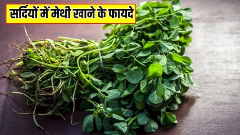 सर्दियों में मेथी खाने के क्या फायदे हैं? जानें शरीर पर कैसा असर करती है हरी मेथी