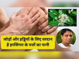 कमजोर हड्डियां और जोड़ों का दर्द? हरसिंगार का पत्ता है रामबाण इलाज! आचार्य बालकृष्ण ने बताया इस्तेमाल करने का तरीका