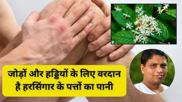 कमजोर हड्डियां और जोड़ों का दर्द? हरसिंगार का पत्ता है रामबाण इलाज! आचार्य बालकृष्ण ने बताया इस्तेमाल करने का तरीका