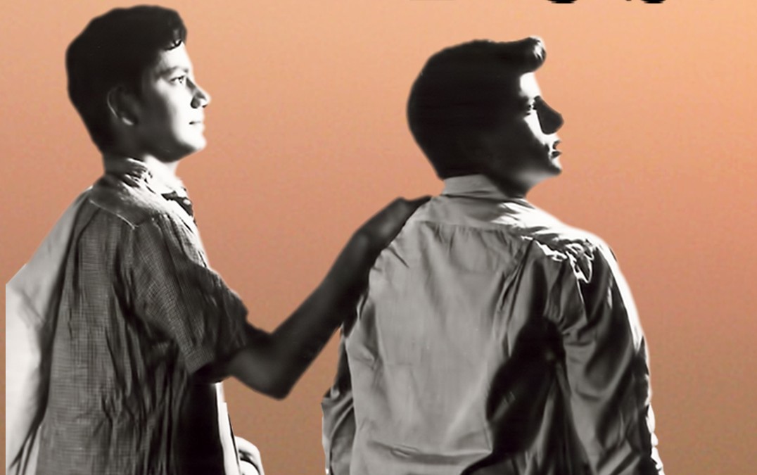 फिल्म ने जीते 6 फिल्मफेयर और एक राष्ट्रीय पुरस्कार, प्रोड्यूसर की भर गई जेबें, फिर भी गुमनामी में खो गए फिल्म के दोनों हीरो