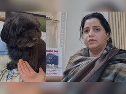डॉक्टर के घर से फीमेल डॉग लापता: नियमित रूप से जाती थी पेट पार्लर, 9वें बर्थडे से पहले सबको रुला गई