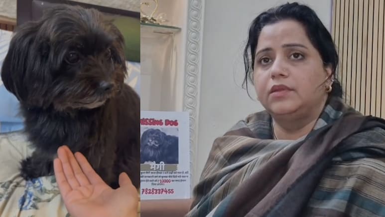 डॉक्टर के घर से फीमेल डॉग लापता: नियमित रूप से जाती थी पेट पार्लर, 9वें बर्थडे से पहले सबको रुला गई
