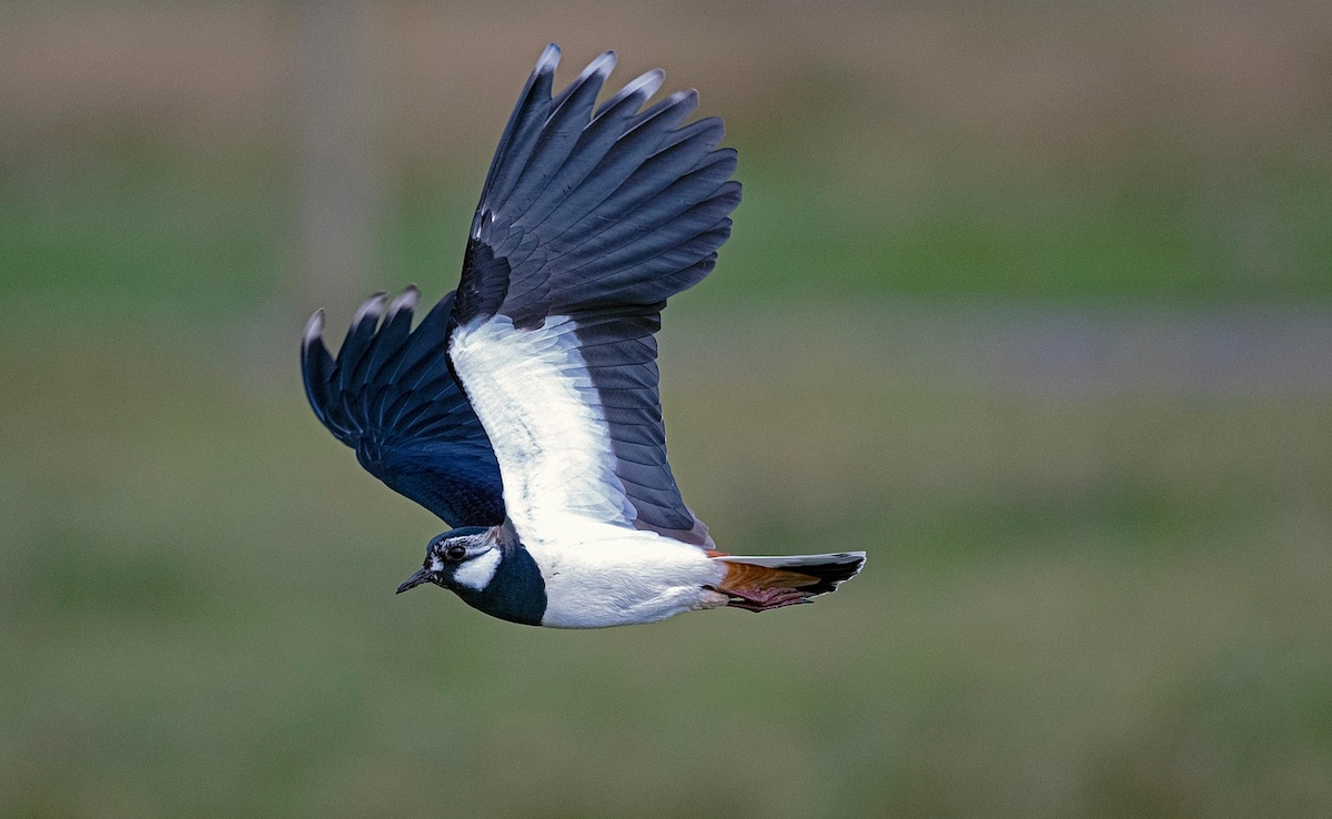 Latest and Breaking News on NDTV Latest and Breaking News on NDTV