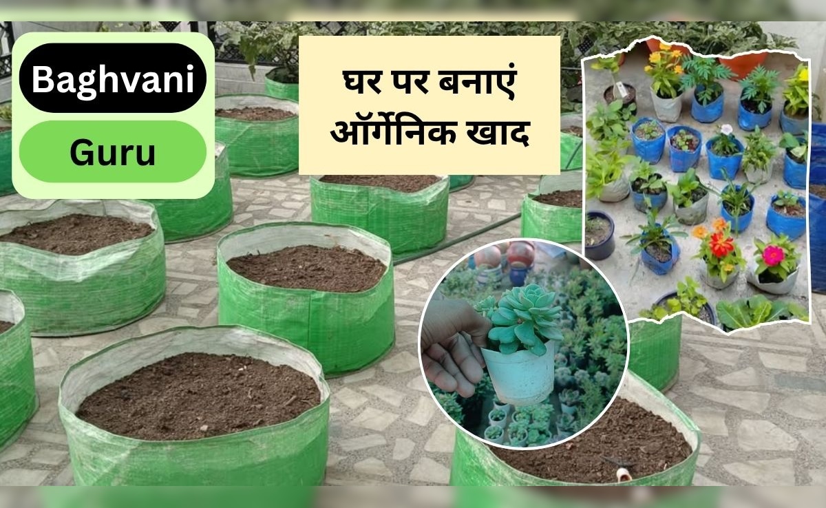 Bagvani Guru: घर पर ऑर्गेनिक खाद कैसे बनाएं? पौधे को कर देगी हरा-भरा, फल-सब्जी के छिलके का इस तरह करें इस्तेमाल