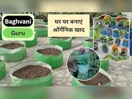 Bagvani Guru: घर पर ऑर्गेनिक खाद कैसे बनाएं? पौधे को कर देगी हरा-भरा, फल-सब्जी के छिलके का इस तरह करें इस्तेमाल