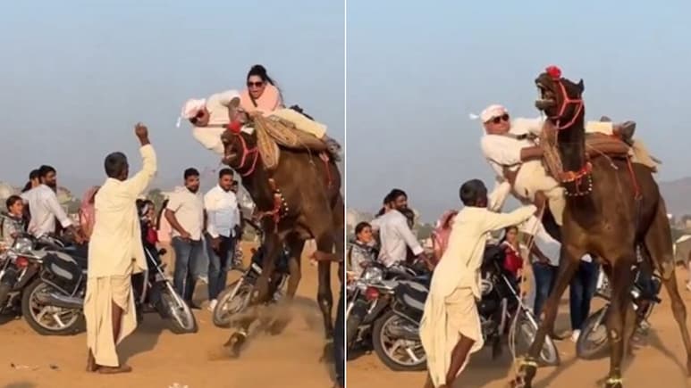बड़े शौक से ऊंट की सवारी करने चला कपल, बैठते ही जानवर ने ऐसे उछाला, पति-पत्नी के साथ फिर जो हुआ, सहम गए लोग !