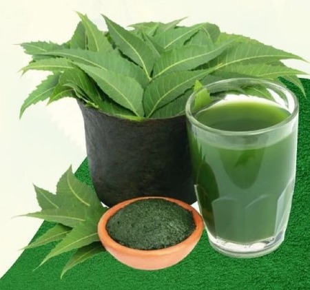 लिवर की गंदगी को निकाल बाहर कर देती है ये हरी पत्ती, इन लोगों को जरूर करना चाहिए इसका इस्तेमाल