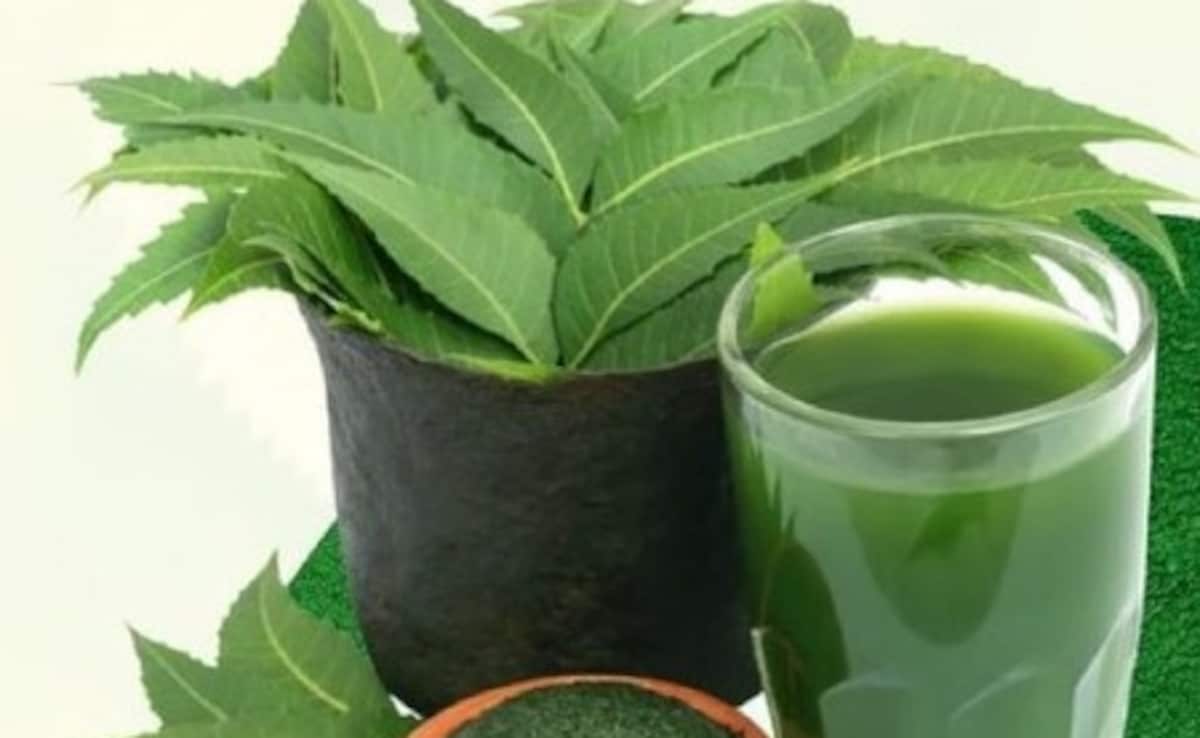 लिवर की गंदगी को निकाल बाहर कर देती है ये हरी पत्ती, इन लोगों को जरूर करना चाहिए इसका इस्तेमाल