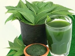 लिवर की गंदगी को निकाल बाहर कर देती है ये हरी पत्ती, इन लोगों को जरूर करना चाहिए इसका इस्तेमाल