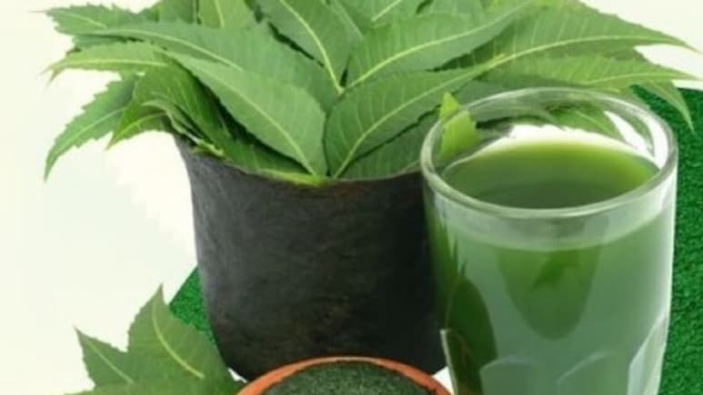 लिवर की गंदगी को निकाल बाहर कर देती है ये हरी पत्ती, इन लोगों को जरूर करना चाहिए इसका इस्तेमाल