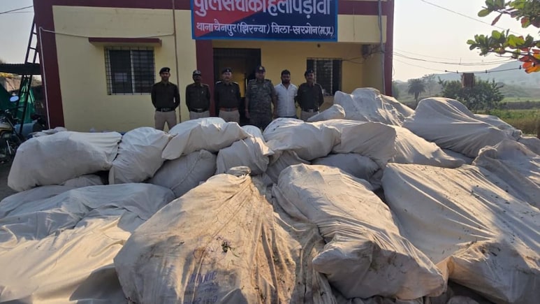 खरगोन में गांजा खेती: पुल‍िस ने ड्रोन कैमरे से सर्चिंग की, 3 KM पैदल चलकर जब्‍त क‍िए 1.77 करोड़ के पौधे