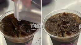 Cockroach Coffee Costing Rs 570 Goes Viral In China, Tastes "Burnt And Slightly Sour"