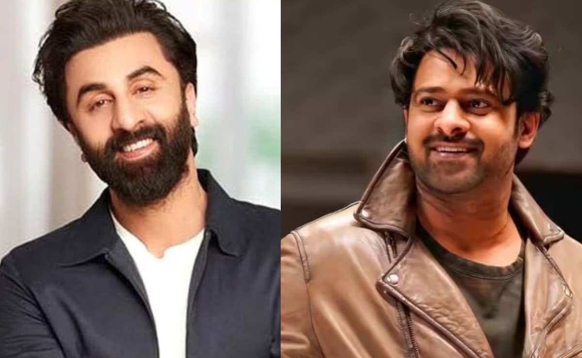 Ranbir Kapoor Might Make A Cameo In Sandeep Reddy Vanga's Spirit: Report