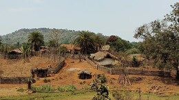 Chhattisgarhi  News: जहां कभी फटते थे बम, चलती थी गोलियां, अब उस अबूझमाड़ में लाइट, कैमरा-एक्शन, जानें ऐसा क्या हो रहा