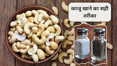 एक दिन में कितने काजू खाने चाहिए? काजू में नमक और काली मिर्च मिलाकर खाने से क्या होगा, एक्सपर्ट से जानिए काजू