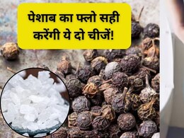 पेशाब करने के बाद भी होता है डिस्चार्ज, तो ये 2 घरेलू चीजें करेंगी जादुई असर, पेशाब की जलन भी होगी गायब