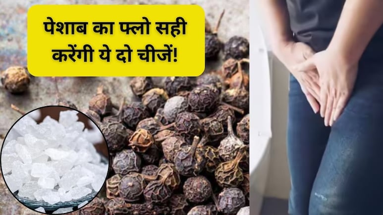 पेशाब करने के बाद भी होता है डिस्चार्ज, तो ये 2 घरेलू चीजें करेंगी जादुई असर, पेशाब की जलन भी होगी गायब