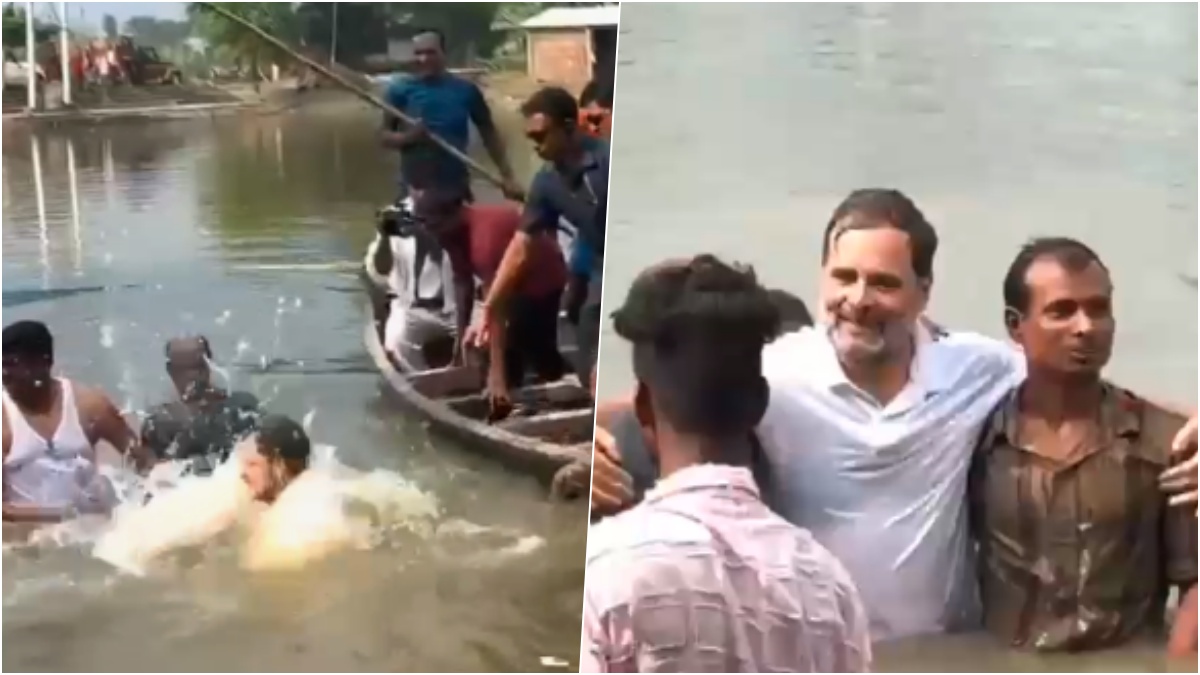 VIDEO: राहुल गांधी तालाब देख खुद को नहीं रोक पाएं, छलांग लगा मजे से तैराकी का उठाया लुत्फ
