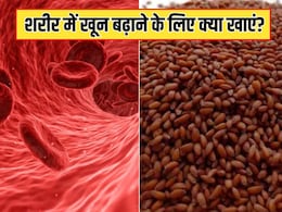 7 दिन 7 फूड्स, शरीर में बुलेट की स्पीड से बढ़ेगा आयरन, खून की कमी होगी दूर