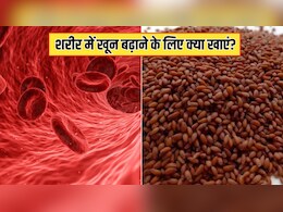किस बीज में सबसे ज्यादा आयरन होता है? न्यूट्रिशनिस्ट ने बताया शरीर में खून बढ़ाने के लिए आज से ही खा लें
