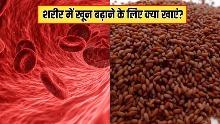 किस बीज में सबसे ज्यादा आयरन होता है? न्यूट्रिशनिस्ट ने बताया शरीर में खून बढ़ाने के लिए आज से ही खा लें