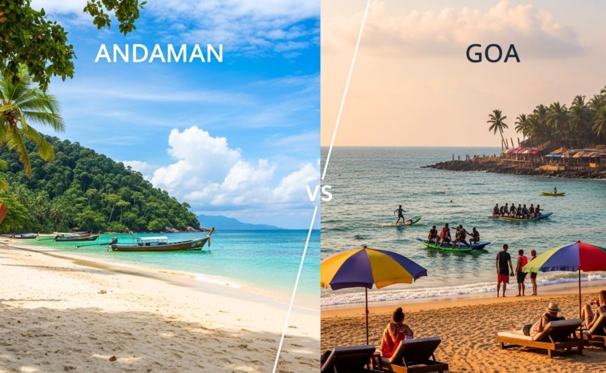 Latest and Breaking News on NDTV