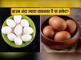 Brown Eggs Vs White Eggs: ब्राउन या सफेद, कौन सा अंडा ज्यादा ताकतवर होता है? आयुर्वेदिक डॉक्टर ने दिया जवाब