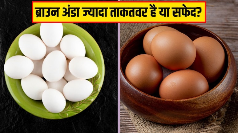 Brown Eggs Vs White Eggs: ब्राउन या सफेद, कौन सा अंडा ज्यादा ताकतवर होता है? आयुर्वेदिक डॉक्टर ने दिया जवाब
