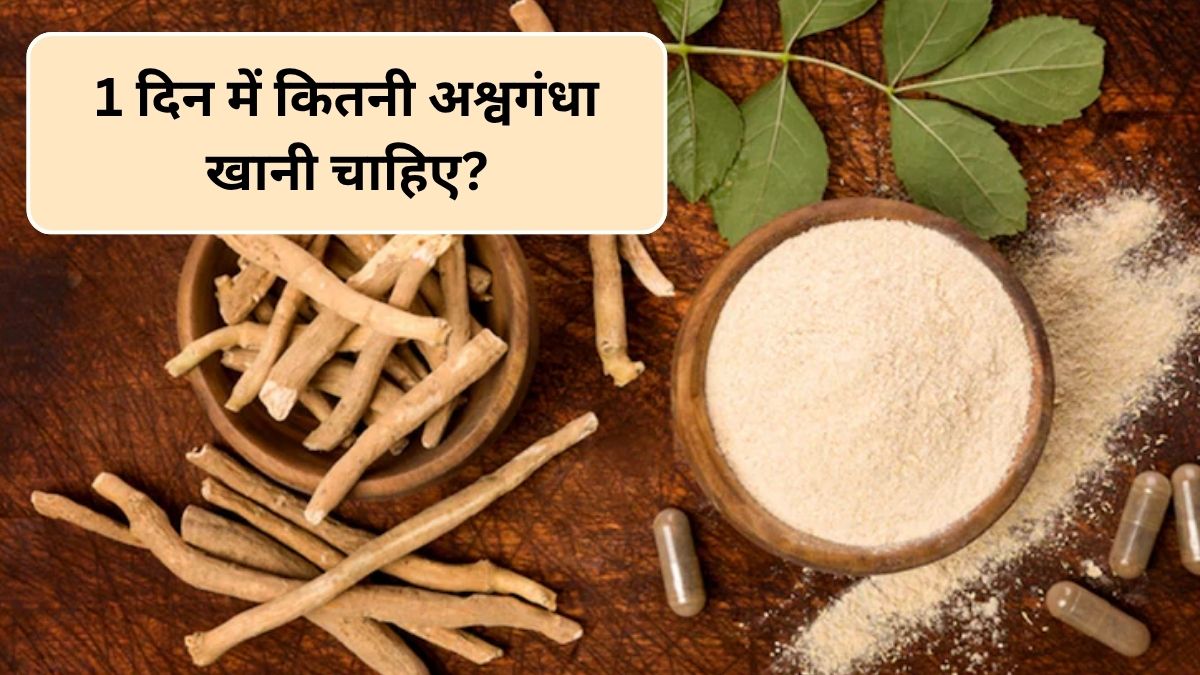 Ashwagandha Benefits: रोज 1 चम्मच अश्वगंधा खाने से क्या होता है? आयुर्वेदिक डॉक्टर ने बताए हैरान करने वाले फायदे