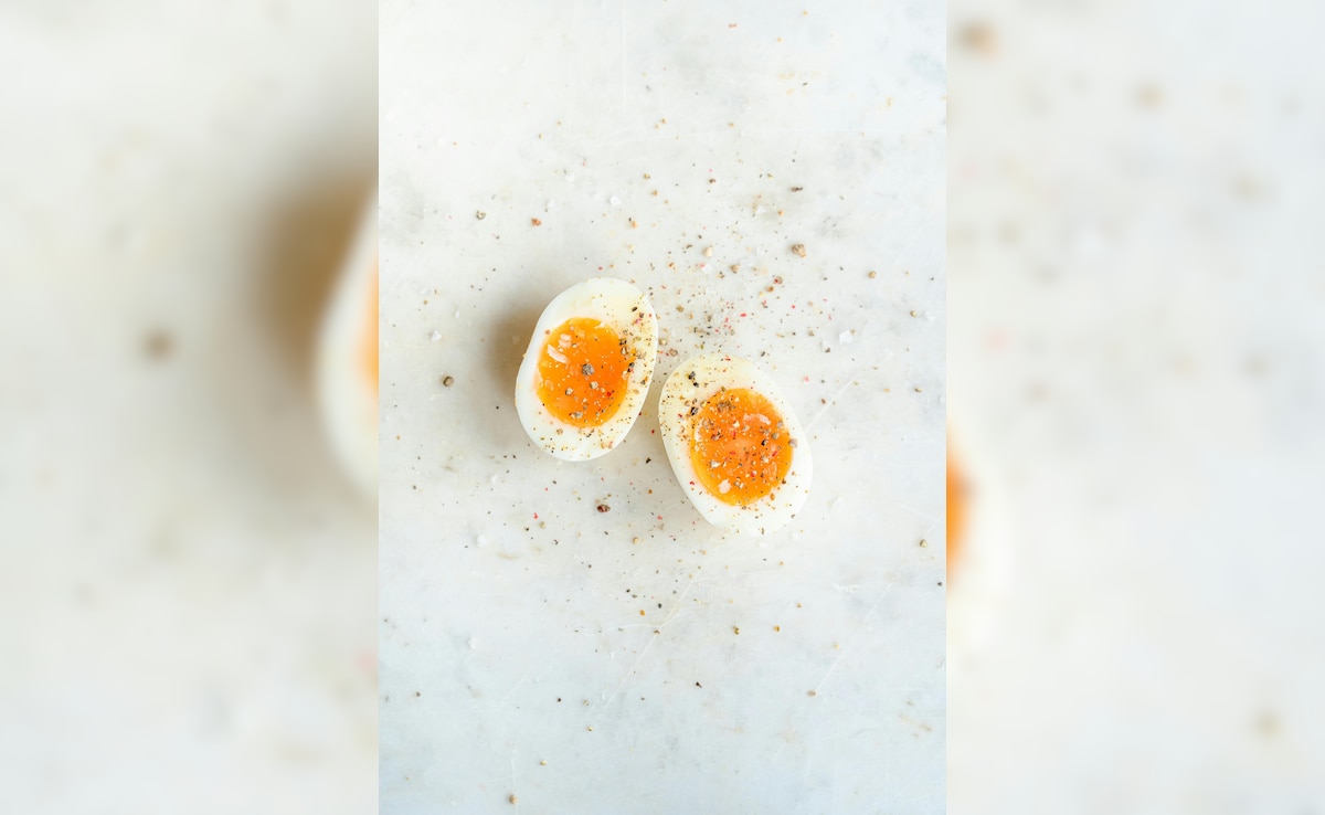 Latest and Breaking News on NDTV Latest and Breaking News on NDTV