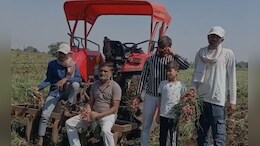 ₹1 KG भाव ने प्&zwj;याज की फसल पर चलवाया ट्रैक्&zwj;टर, जानिए मध्य प्रदेश किसानों की बर्बादी की पूरी कहानी